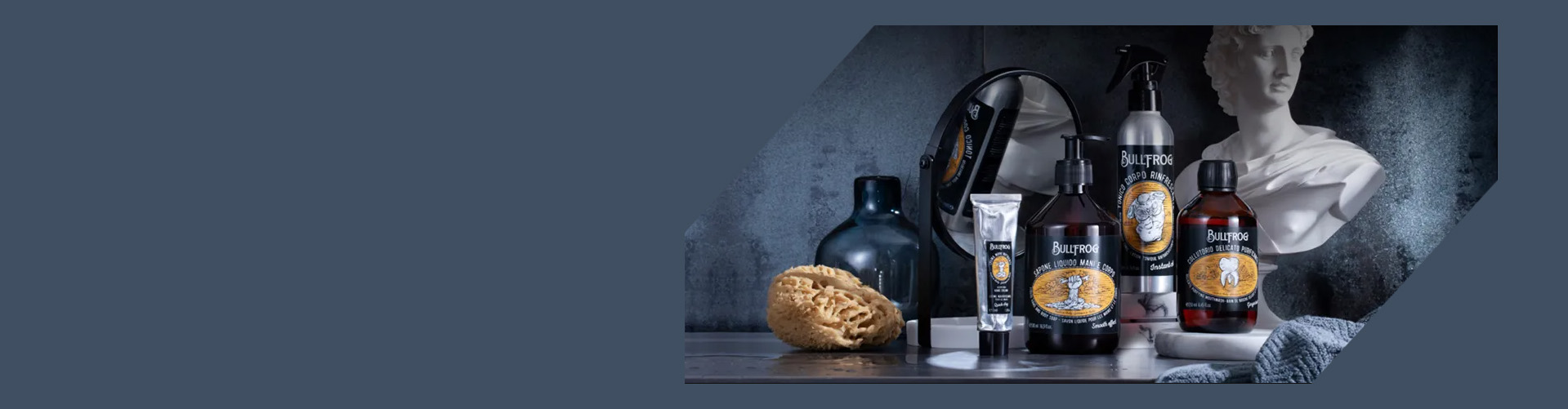 main image slider